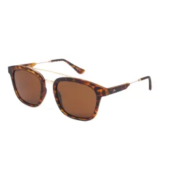 Lentes de Sol Rusty Vol marron polarizado - Precios
