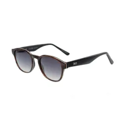 Precio. Comprar lentes de sol Gatwick B Marron 2