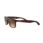 Anteojos de Sol Ray Ban Andy 4202 607313 55