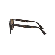 Comprar Anteojos Ray Ban 2185 902/57 55 Marron Polarizado