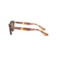 Comprar Anteojos Ray Ban 4314 654/33 54 marron 