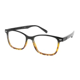 Armazon y Anteojos Rusty Dasue Marron degraee