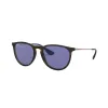 Anteojos de Sol Ray Ban Erika 4171 639276 54