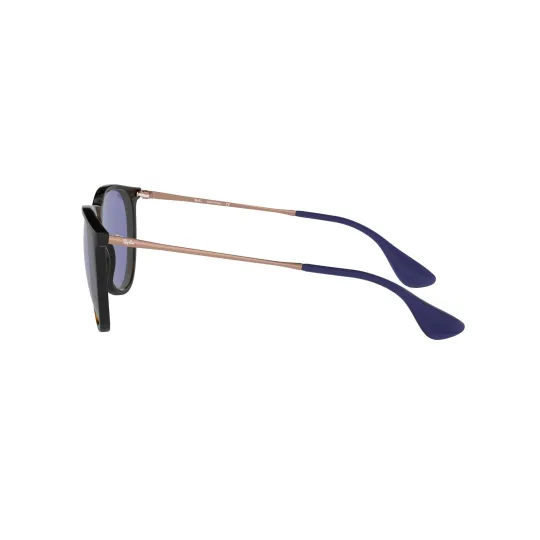Anteojos de Sol Ray Ban Erika 4171 639276 54