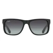 Anteojos de Sol Ray Ban 4165 Negro Opaco 
