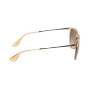 Anteojos de Sol Ray Ray Ban Erika 6514 13 54