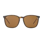 Comprar Anteojos Ray Ban 4387 710 73 56 Marron