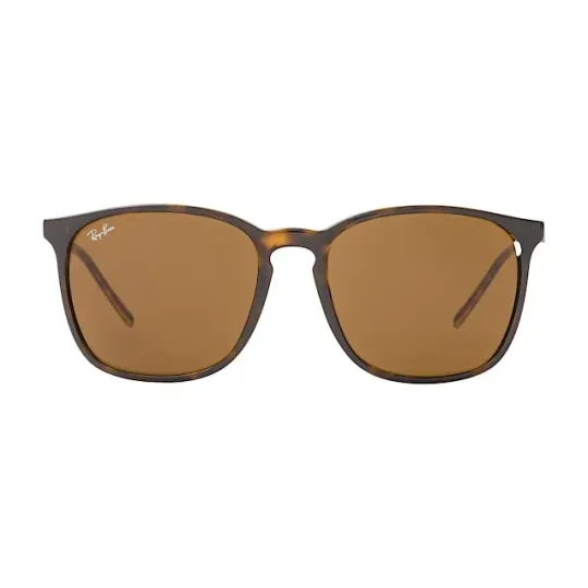 Comprar Anteojos Ray Ban 4387 710 73 56 Marron