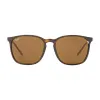 Comprar Anteojos Ray Ban 4387 710 73 56 Marron