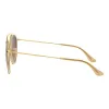 Anteojos de Sol Ray Ban 3647 912443 51