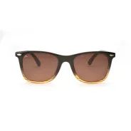 Lentes de Sol Rusty Patien Marron 0016 ch74 ltd
