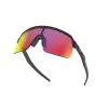 Ver Anteojos de Sol Oakley Sutro Lite 9463 Prizm Road 01