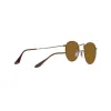 Anteojos de Sol Ray Ban Round 3447 922833 Marron 51