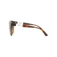 Anteojos Armani Exchange 4120 821313 54 Marron