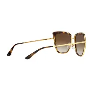 Anteojos Vogue 4223 Marron 280 13 57