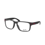 Armazon y Anteojos 8156 Holbrook 9 Gris 54