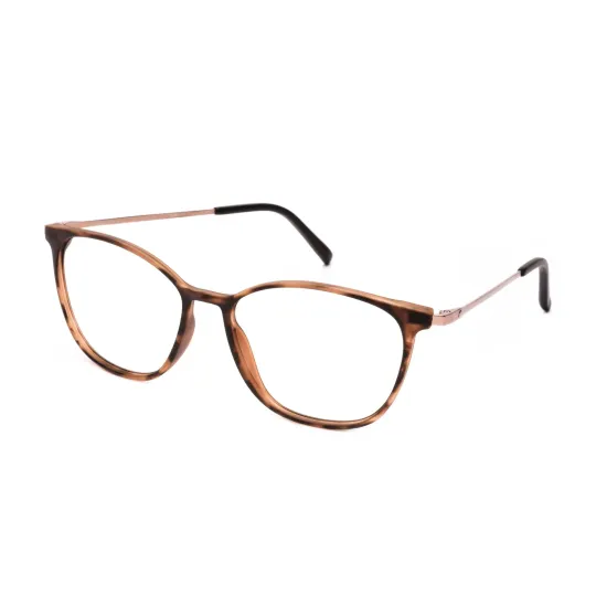 Armazon y Anteojos Rusty Opposit Marron Mdemi