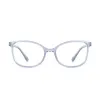 Armazon y Anteojos Rusty Secker Gris Transparente