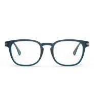 Armazon y Anteojos Reciclado Karun Ranita de Darwin Azul