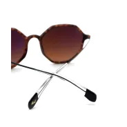 Lentes de Sol Vulk Barel Marron mo445 56 ch74