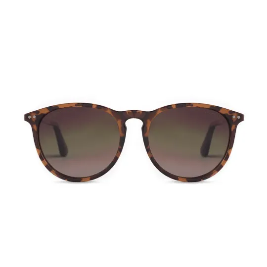 Lentes de Sol Rusty Zion Sdemi Polarizado