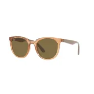 Ray Ban 4383 662773 Marron