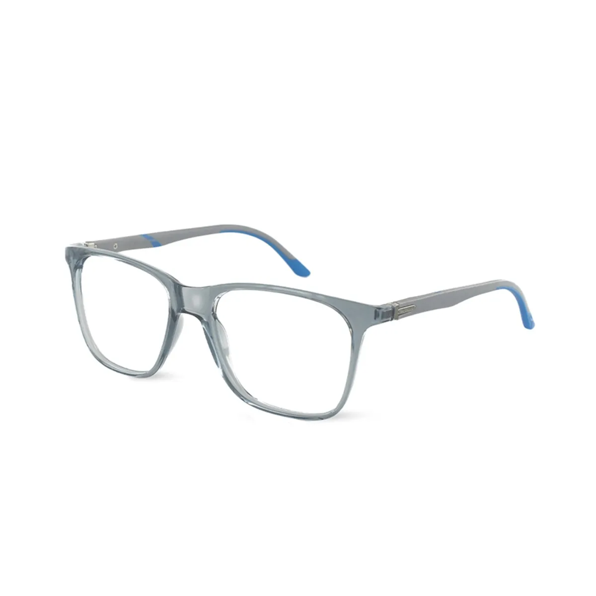 Rusty Pro 24 Gris transparente l blue grey