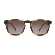 Lentes Anteojos de sol Ay Not Dead Malcom 258 20048 Polarizado