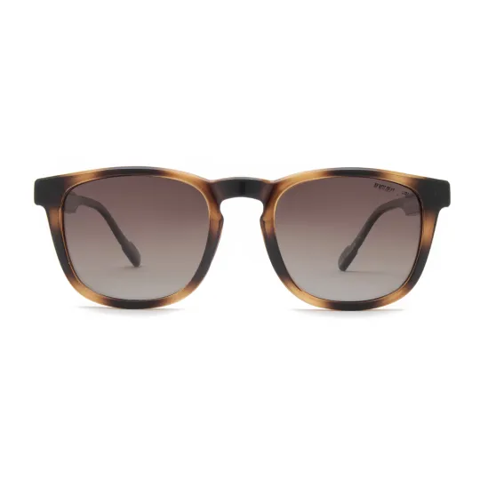 Lentes Anteojos de sol Ay Not Dead Malcom 258 20048 Polarizado
