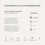 Anteojo armazon Paula Cahen D'Anvers Lagos 1 Marron