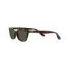 Anteojos de Sol Ray Ban 2299 902/31 55 lady Burbank Carey