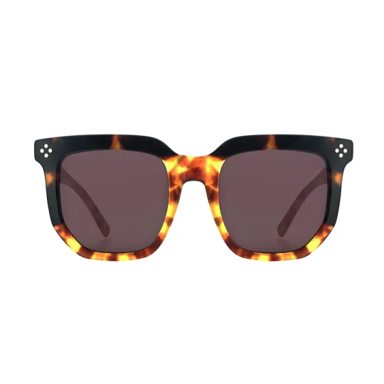 Lentes de Sol Vulk Glint 1 Marron