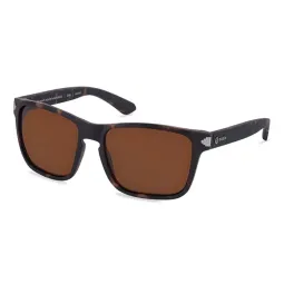 Karun Lobo kaus0073 marrón polarizado