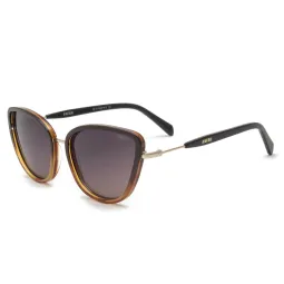 Ay Not Dead 238 11756 Polarizado