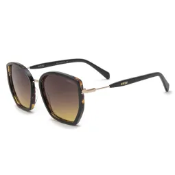 Ay Not Dead 237 22553 Polarizado