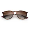 Anteojos de Sol Ray Ban Erika 4171 polarizado