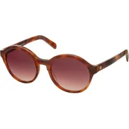 Ver catalogo Anteojos de Sol Ossira 6057 marron 2