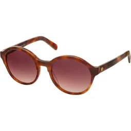 Ver catalogo Anteojos de Sol Ossira 6057 marron 2