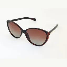 Lentes de Sol Max Polar Seven Marron